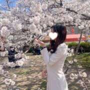 ヒメ日記 2025/04/08 22:02 投稿 るん ジャパンクラブ富士