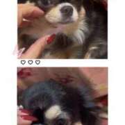 ヒメ日記 2025/01/09 17:58 投稿 莉桜花(りおか) PLUS十三店