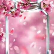 ヒメ日記 2025/04/06 18:58 投稿 莉桜花(りおか) PLUS十三店