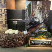 ヒメ日記 2025/08/12 20:08 投稿 莉桜花(りおか) PLUS十三店