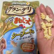 ヒメ日記 2025/11/11 17:48 投稿 莉桜花(りおか) PLUS十三店