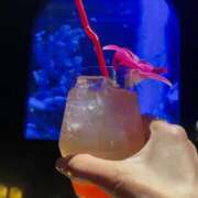 ヒメ日記 2026/03/14 02:38 投稿 莉桜花(りおか) PLUS十三店