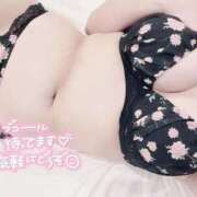 ヒメ日記 2025/03/31 18:34 投稿 りぜ 奥様特急　上野・鶯谷店