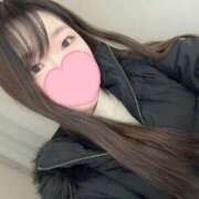 ヒメ日記 2025/02/18 07:16 投稿 ミイナ エピソード(品川)