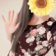 ヒメ日記 2024/12/27 21:16 投稿 ほまれ 無我（むが）