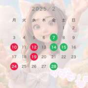 ヒメ日記 2025/02/07 02:50 投稿 涼森あおい 松戸人妻花壇