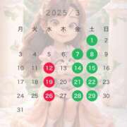 ヒメ日記 2025/02/26 15:52 投稿 涼森あおい 松戸人妻花壇