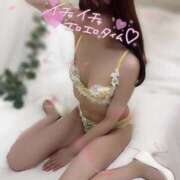 ヒメ日記 2025/03/07 16:52 投稿 えれな 神戸回春性感マッサージ倶楽部