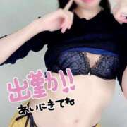 ヒメ日記 2025/08/15 12:50 投稿 えれな 神戸回春性感マッサージ倶楽部