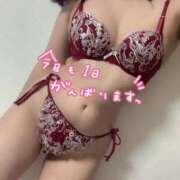 ヒメ日記 2025/03/17 10:23 投稿 こはる CLUB DEEP 博多