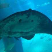 ヒメ日記 2025/06/19 13:22 投稿 みずき 小岩人妻花壇