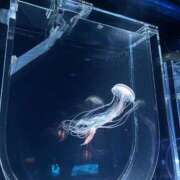 ヒメ日記 2025/09/21 13:40 投稿 みずき 小岩人妻花壇