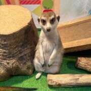 ヒメ日記 2025/11/20 20:05 投稿 みずき 小岩人妻花壇