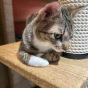 ヒメ日記 2025/11/29 15:07 投稿 みずき 小岩人妻花壇