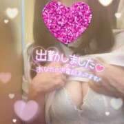 ヒメ日記 2026/03/13 13:25 投稿 みずき 小岩人妻花壇