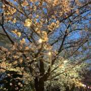 ヒメ日記 2026/04/10 12:49 投稿 みずき 小岩人妻花壇