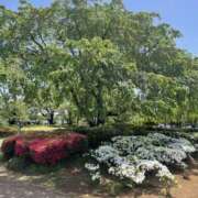 ヒメ日記 2025/05/05 12:36 投稿 じゅり モアグループ熊谷人妻花壇