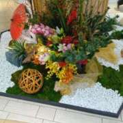 ヒメ日記 2025/01/05 11:15 投稿 くみ 熟女総本店