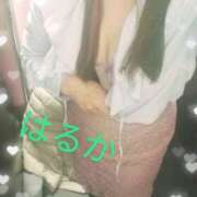 ヒメ日記 2025/03/26 13:12 投稿 渡辺 はるか こあくまな熟女たち三河店（KOAKUMAグループ）