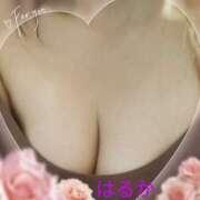 ヒメ日記 2025/04/06 15:31 投稿 渡辺 はるか こあくまな熟女たち三河店（KOAKUMAグループ）