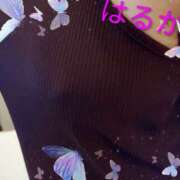 ヒメ日記 2025/10/28 10:35 投稿 渡辺 はるか こあくまな熟女たち三河店（KOAKUMAグループ）