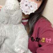 ヒメ日記 2025/03/06 19:46 投稿 もか デザインプリズム新宿