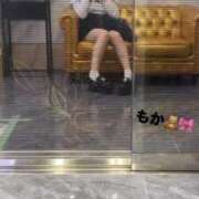 ヒメ日記 2025/05/14 02:49 投稿 もか デザインプリズム新宿