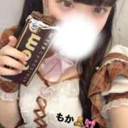 ヒメ日記 2026/02/17 16:49 投稿 もか デザインプリズム新宿