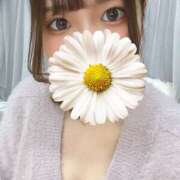 なるみ 春日和ですね🌸 東京人妻セレブリティ（ユメオト）