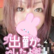 ヒメ日記 2025/06/06 15:08 投稿 みさき 甘熟クラブ