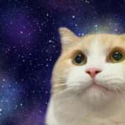 ヒメ日記 2025/09/04 03:13 投稿 みさき 甘熟クラブ