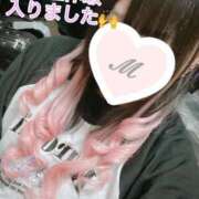 ヒメ日記 2025/03/14 08:54 投稿 まなか 桃李（とうり）