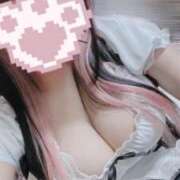 ヒメ日記 2025/03/30 10:04 投稿 まなか 桃李（とうり）