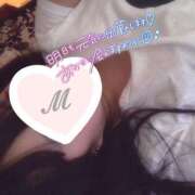 ヒメ日記 2025/04/08 11:24 投稿 まなか 桃李（とうり）