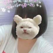 ヒメ日記 2025/10/05 10:15 投稿 まなか 桃李（とうり）