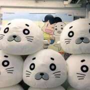 ヒメ日記 2025/10/19 09:04 投稿 まなか 桃李（とうり）