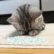 まなか 貧血😵‍💫💦 桃李（とうり）