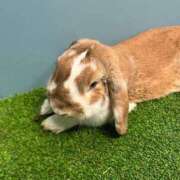 ヒメ日記 2025/05/13 14:25 投稿 るる スピードエコ梅田店