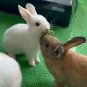 るる 今日はながい！！ スピードエコ梅田店