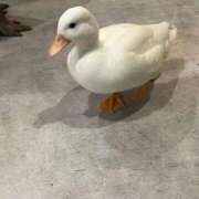 るる おはよう☀️ スピードエコ梅田店