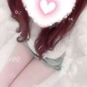 ヒメ日記 2025/04/02 09:12 投稿 ちょこ スピードエコ難波店