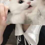 ヒメ日記 2025/04/11 14:42 投稿 ちょこ スピードエコ難波店