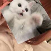 ヒメ日記 2025/04/14 15:02 投稿 ちょこ スピードエコ難波店