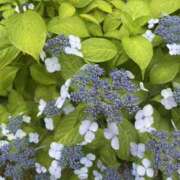 ヒメ日記 2025/06/13 10:42 投稿 ちょこ スピードエコ難波店