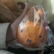 ヒメ日記 2025/06/14 09:03 投稿 ちょこ スピードエコ難波店