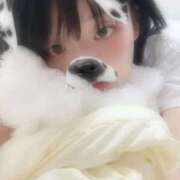 ヒメ日記 2025/07/14 08:42 投稿 ちょこ スピードエコ難波店