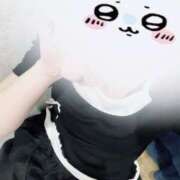 ヒメ日記 2025/07/21 08:22 投稿 ちょこ スピードエコ難波店