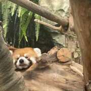 ヒメ日記 2025/08/14 21:42 投稿 ちょこ スピードエコ難波店