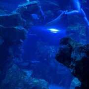 ヒメ日記 2025/09/07 17:52 投稿 ちょこ スピードエコ難波店