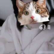 ちょこ ちょこ（エコ難波店） スピードエコ難波店